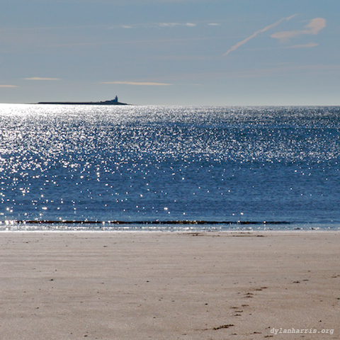 image: unlabelled image