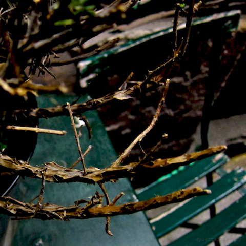 image: unlabelled image