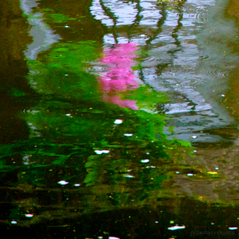 image: unlabelled image