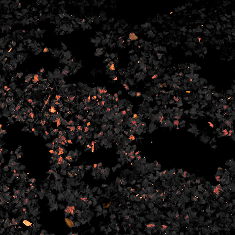 image: unlabelled image