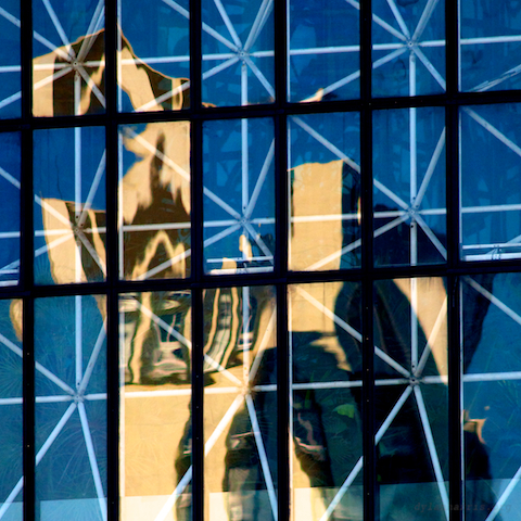 image: unlabelled image