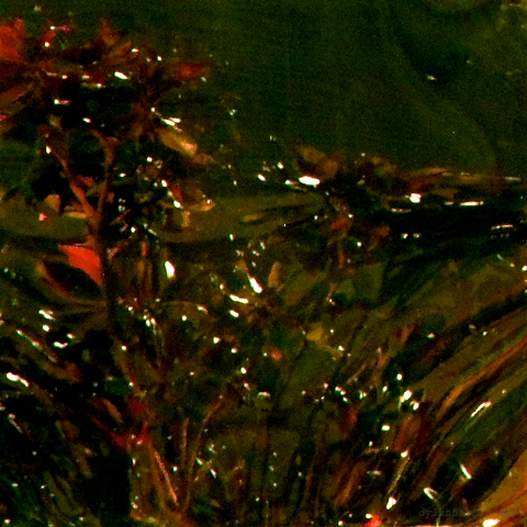 image: unlabelled image