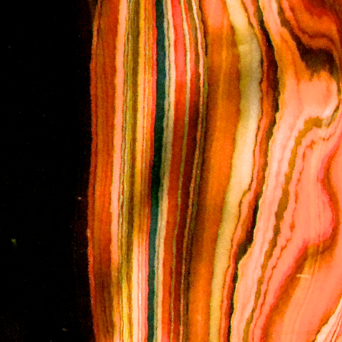 image: unlabelled image