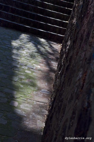 image: unlabelled image