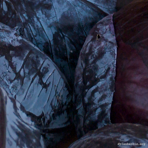 image: unlabelled image