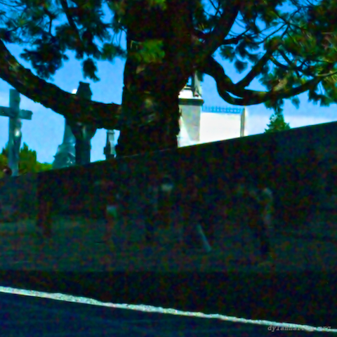 image: unlabelled image