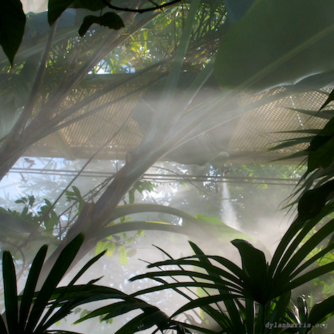 image: unlabelled image