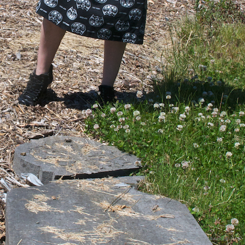 image: unlabelled image