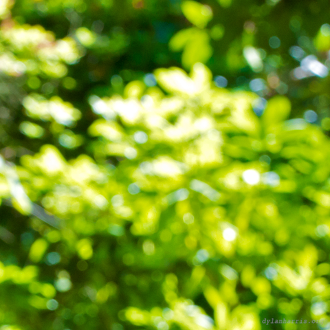 image: unlabelled image