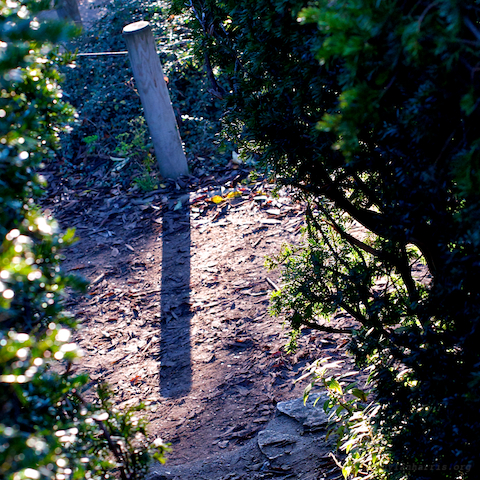 image: unlabelled image