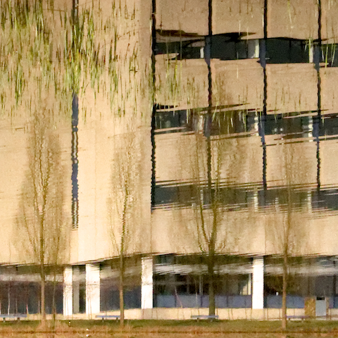 image: unlabelled image