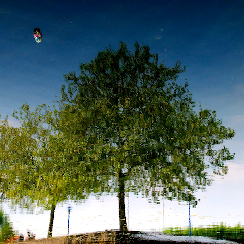 image: unlabelled image