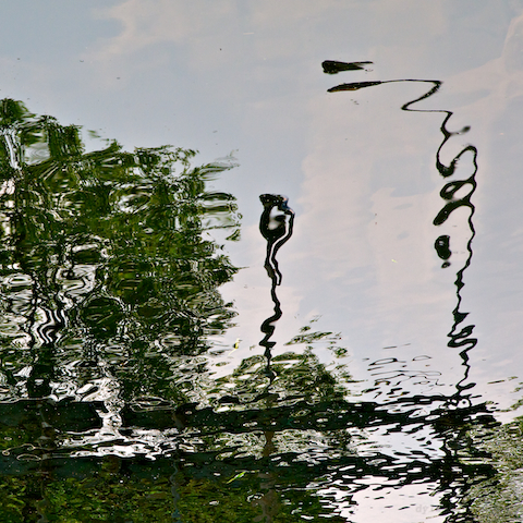 image: unlabelled image