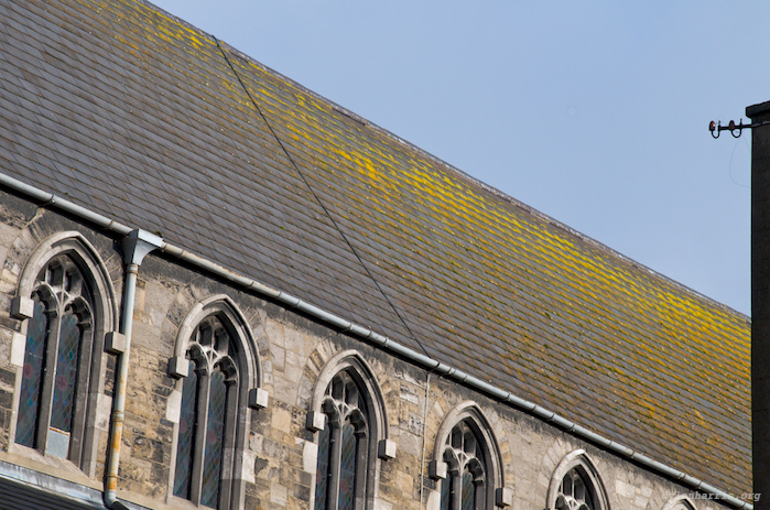 image: unlabelled image