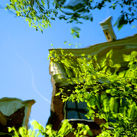 image: unlabelled image