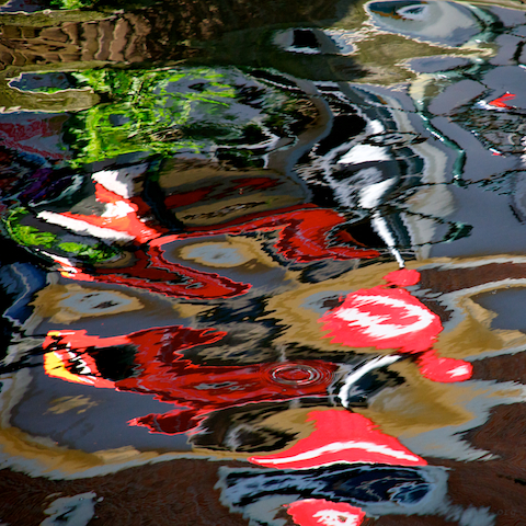 image: unlabelled image