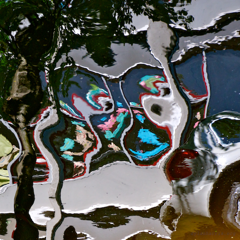 image: unlabelled image