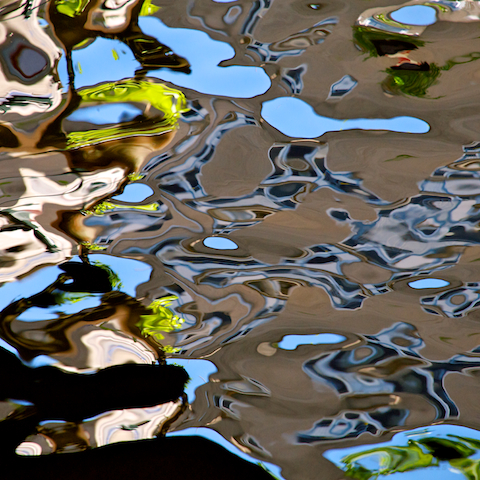 image: unlabelled image