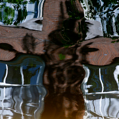 image: unlabelled image