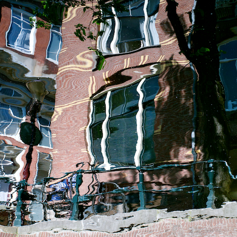 image: unlabelled image