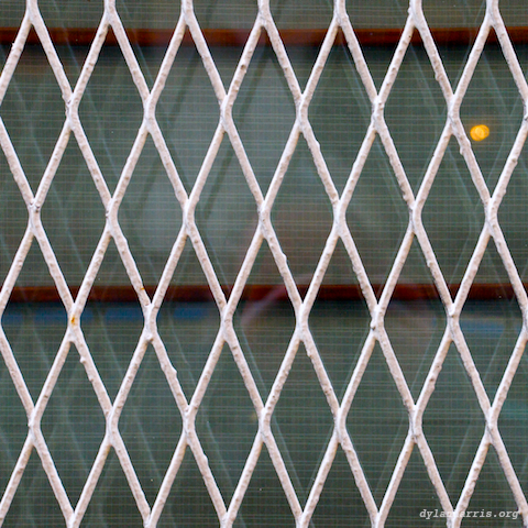 image: unlabelled image