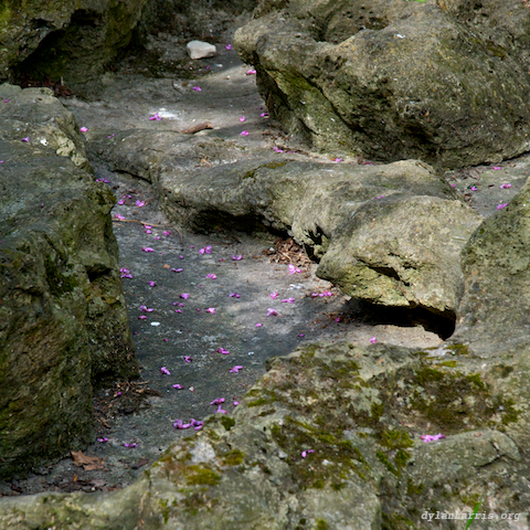 image: unlabelled image