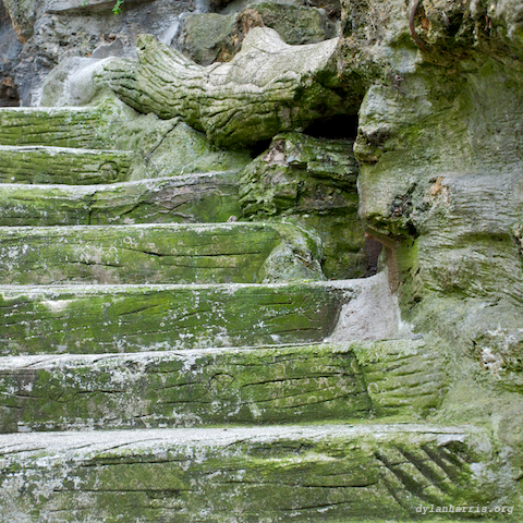 image: unlabelled image