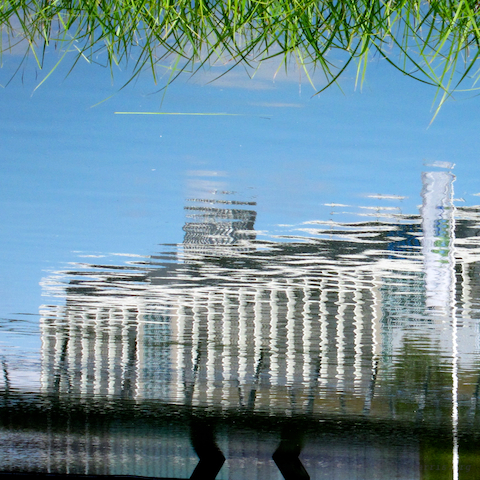 image: unlabelled image