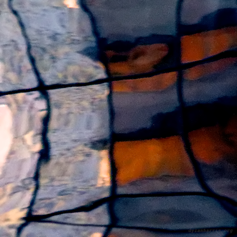 image: unlabelled image