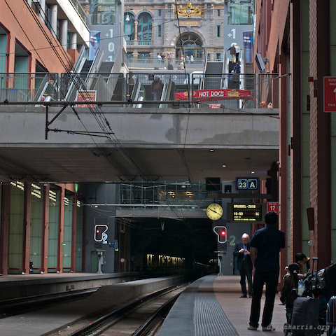 image: unlabelled image