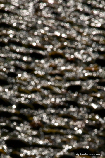 image: unlabelled image