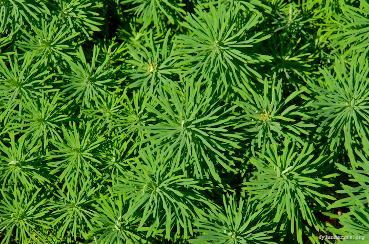 image: unlabelled image