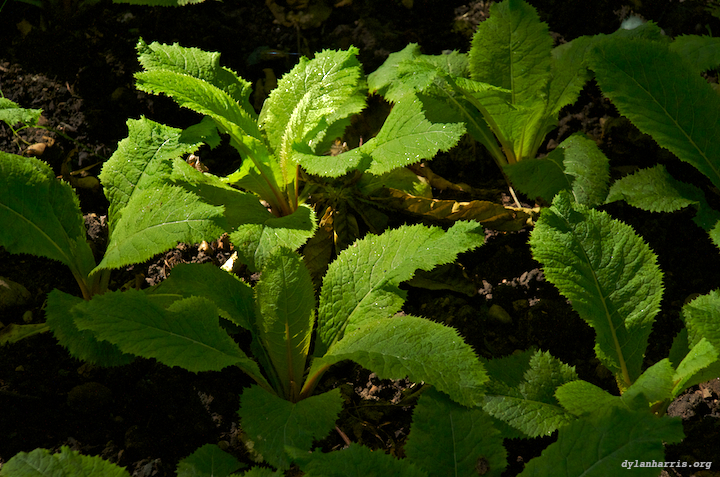 image: unlabelled image