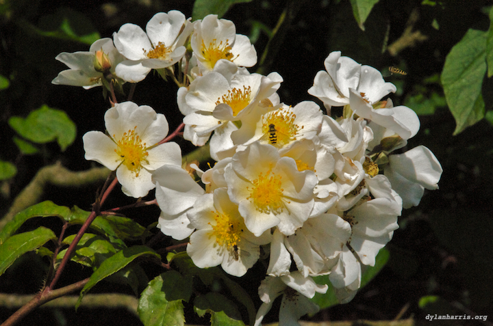 image: unlabelled image