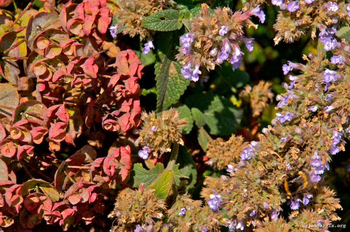 image: unlabelled image