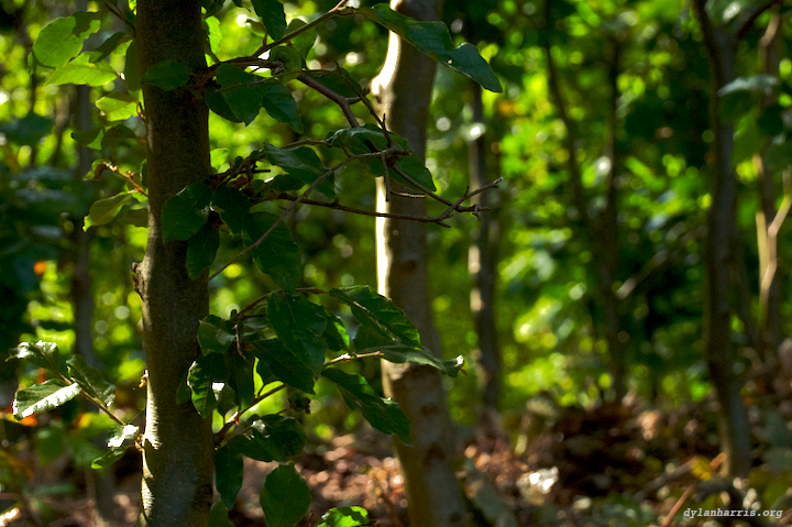 image: unlabelled image