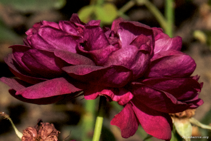 image: unlabelled image