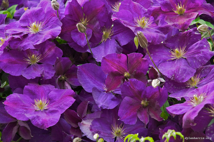 image: unlabelled image