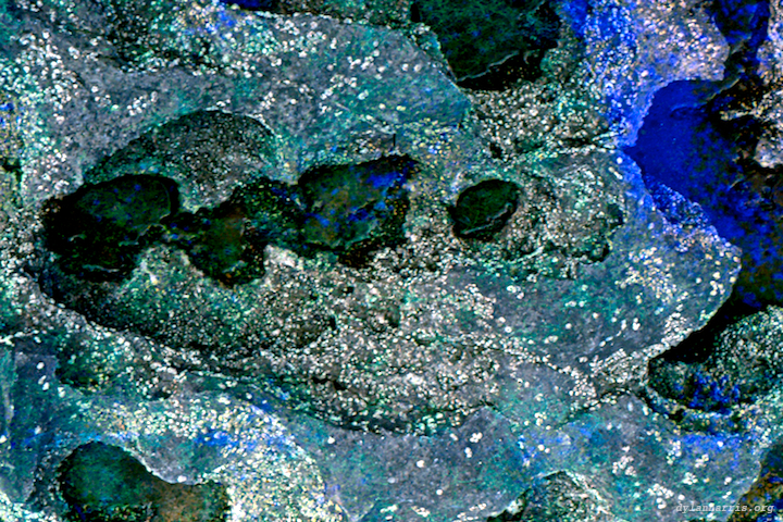 image: unlabelled image