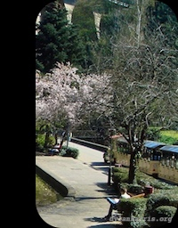 image: unlabelled image