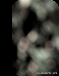 image: unlabelled image