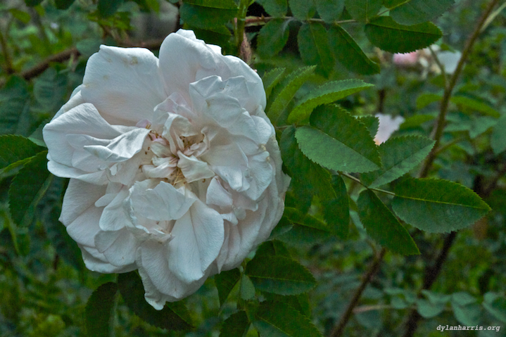 image: unlabelled image