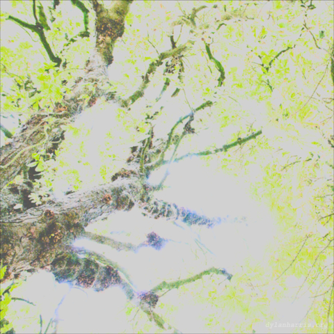 image: unlabelled image