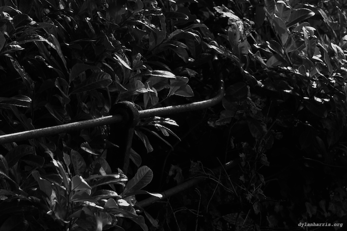 image: unlabelled image