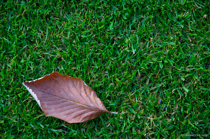 image: unlabelled image