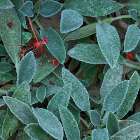 image: unlabelled image