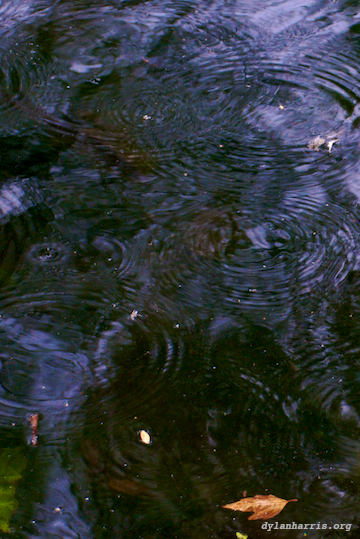 image: unlabelled image