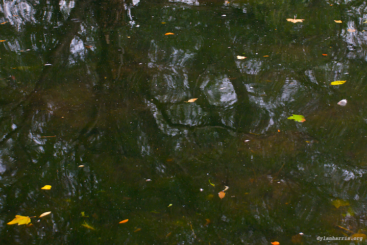 image: unlabelled image