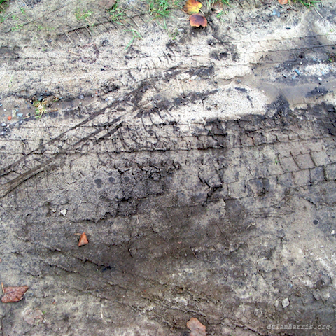 image: unlabelled image