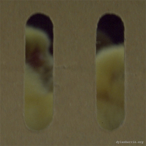 image: unlabelled image